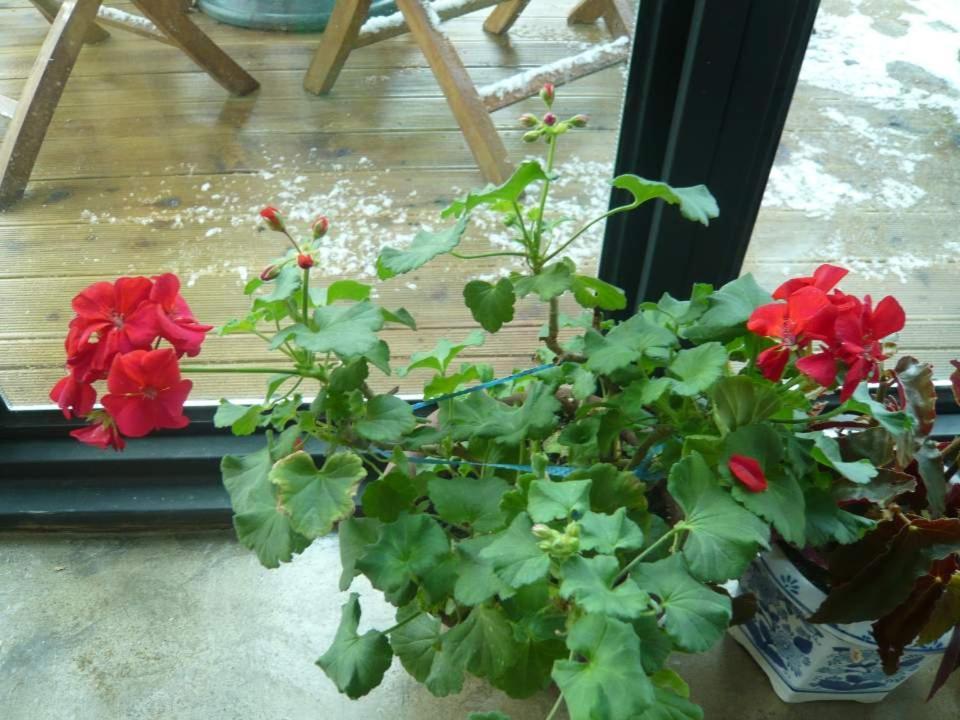 Guesthouse In Picture Jeonju Ngoại thất bức ảnh